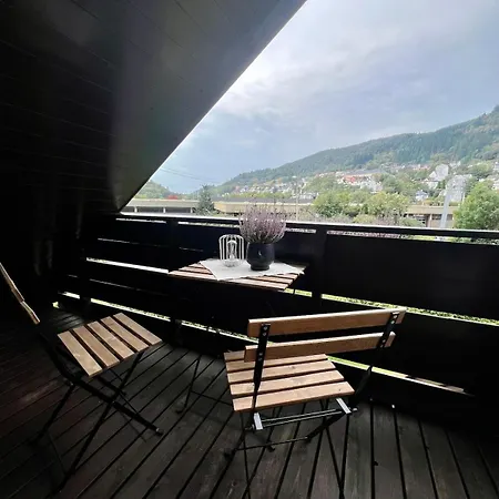 Central Lejlighed Bergen